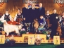 2000