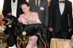 champions2011